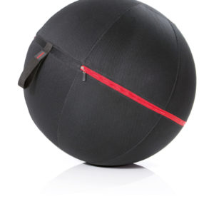 Office ball Gymstick